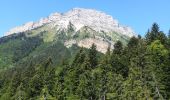 Excursión Senderismo Le Sappey-en-Chartreuse - emeindras 2018 - Photo 5