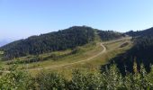 Tocht Stappen La Chapelle-du-Bard - col occiput - Photo 18