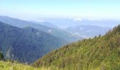 Excursión Senderismo La Chapelle-du-Bard - col occiput - Photo 16