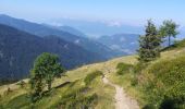 Excursión Senderismo La Chapelle-du-Bard - col occiput - Photo 14