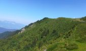 Tocht Stappen La Chapelle-du-Bard - col occiput - Photo 13