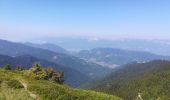 Tocht Stappen La Chapelle-du-Bard - col occiput - Photo 12