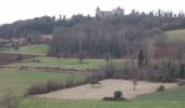 Tocht Stappen Aigueperse - Le château de la Roche - Photo 5