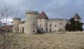 Tocht Stappen Aigueperse - Le château de la Roche - Photo 2