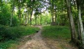 Trail Walking Vieux-Moulin - en forêt de Compiègne_18_la Mare aux Canes_la Faisanderie_la Belle Image - Photo 11