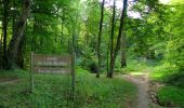 Trail Walking Vieux-Moulin - en forêt de Compiègne_18_la Mare aux Canes_la Faisanderie_la Belle Image - Photo 10