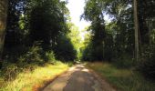 Trail Walking Vieux-Moulin - en forêt de Compiègne_18_la Mare aux Canes_la Faisanderie_la Belle Image - Photo 18