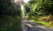 Trail Walking Vieux-Moulin - en forêt de Compiègne_18_la Mare aux Canes_la Faisanderie_la Belle Image - Photo 16