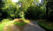 Trail Walking Vieux-Moulin - en forêt de Compiègne_18_la Mare aux Canes_la Faisanderie_la Belle Image - Photo 20