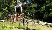 Trail Mountain bike Viverols - Espace VTT FFC de la Vallée de l'Ance - Circuit n° 12 - Photo 1