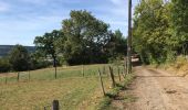 Trail Walking Stoumont - moulin du Ruy la Gleize 25 km - Photo 12
