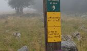 Percorso Marcia Lans-en-Vercors - Chemin de pastoralisme - Photo 2