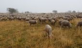 Percorso Marcia Lans-en-Vercors - Chemin de pastoralisme - Photo 1