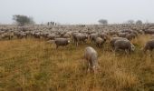 Tocht Stappen Lans-en-Vercors - Chemin de pastoralisme - Photo 1