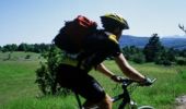 Tour Mountainbike Laragne-Montéglin - Grande Traversée des PréAlpes à VTT : Arzeliers - Ribiers - Photo 2