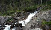 Tocht Stappen Cauterets - Pyrénées Fruitière - Col Araillier - Col Labas - Photo 8