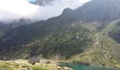 Excursión Senderismo Cauterets - Pyrénées Fruitière - Col Araillier - Col Labas - Photo 6