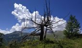 Tocht Stappen Saint-Paul-sur-Ubaye - Serre de l'aut - Photo 8