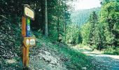 Excursión Bici de montaña La Chaudière - Grande Traversée des PréAlpes à VTT : La Chaudière - Saint Nazaire le Désert - Photo 2