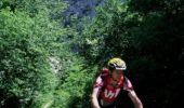 Percorso Mountainbike La Motte-Chalancon - Grande Traversée des PréAlpes à VTT : La Motte Chalancon - Establet - Photo 2