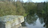 Excursión Bici de montaña Montaigu-Vendée - La Cheffretière - Photo 2