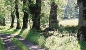 Tour Wandern Villelongue - Abbaye de St Orens - Photo 3