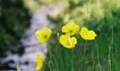 Tour Wandern Villelongue - Abbaye de St Orens - Photo 2