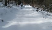 Trail Walking Ottrott - Le Struthof - Photo 1