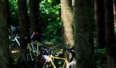 Tocht Mountainbike Givonne - Espace VTT FFC Pays Sedanais Le Banet - Circuit n° 09 - Photo 1