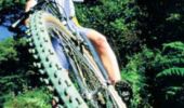 Trail Mountain bike Givonne - Espace VTT FFC Pays Sedanais Le Banet - Circuit n° 12 - Photo 1