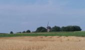 Tocht Stappen Eijsden-Margraten - 180816 margraten grote welseden - Photo 5