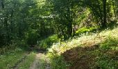 Trail Walking Houyet - CELLES (Bois du Mauvais Mont) - Photo 3