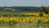 Randonnée V.T.T. Meschers-sur-Gironde - Espace VTT FFC Pays Royannais - Circuit n°01 - Photo 2