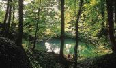 Excursión Bici de montaña Vireux-Molhain - Espace VTT FFC Vallées de Meuse et Semoy - Circuit n°24 - La Croix du Duel - Photo 1