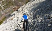 Tour Mountainbike Saint-Ferréol-Trente-Pas - La trace du renard - Photo 4