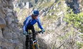 Trail Mountain bike Saint-Ferréol-Trente-Pas - La trace du renard - Photo 2