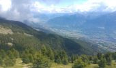 Trail Walking Embrun - st Guillaume  - Photo 8