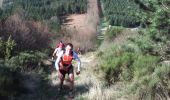 Trail Walking La Salvetat-sur-Agout - Trail de la Salvetat 2008 - Photo 1