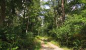 Randonnée Marche Saint-Jean-aux-Bois - en forêt de Compiègne_32_les Tournantes de la Muette et sous la Tête Saint-Jean - Photo 15