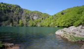 Tour Wandern Rimbach bei Masmünster - Lac des Perches par Rimbach près Masevaux - Photo 3