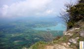 Trail Walking Attignat-Oncin - Le Mont Grelle 1425m, depuis Attignat - Oncin - Photo 1