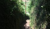 Trail Running Condrieu - Condrieu - Photo 8