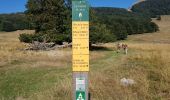 Trail Walking Omblèze - Plateau d'ambel et Tubanet - Photo 17
