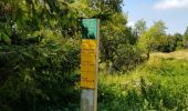 Trail Walking Omblèze - Plateau d'ambel et Tubanet - Photo 6