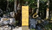 Trail Walking Omblèze - Plateau d'ambel et Tubanet - Photo 4