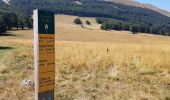 Trail Walking Omblèze - Plateau d'ambel et Tubanet - Photo 2
