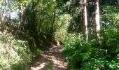 Trail Walking Saint-Léger-Vauban - Abbaye-Quarre-Abbaye - Photo 12