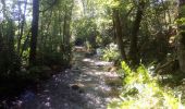 Trail Walking Saint-Léger-Vauban - Abbaye-Quarre-Abbaye - Photo 7