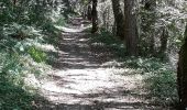 Trail Walking Burlats - billets l'Agout 18kms 577m 4h30 - Photo 14