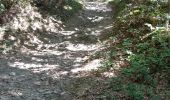 Trail Walking Burlats - billets l'Agout 18kms 577m 4h30 - Photo 13